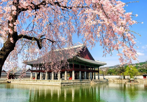 5 địa điểm tham quan hấp dẫn nhất khi du lịch Hàn Quốc
